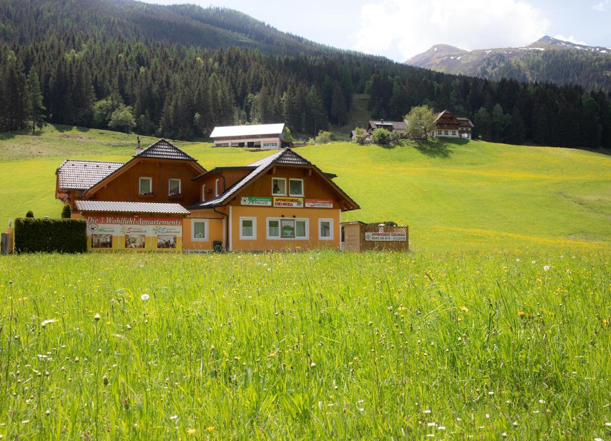 Appartement Edelweiss Mit Infrarotkabine Grosssolk Exterior foto